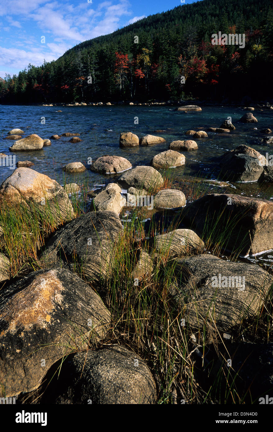 Elk282 2198v hires stock photography and images Alamy