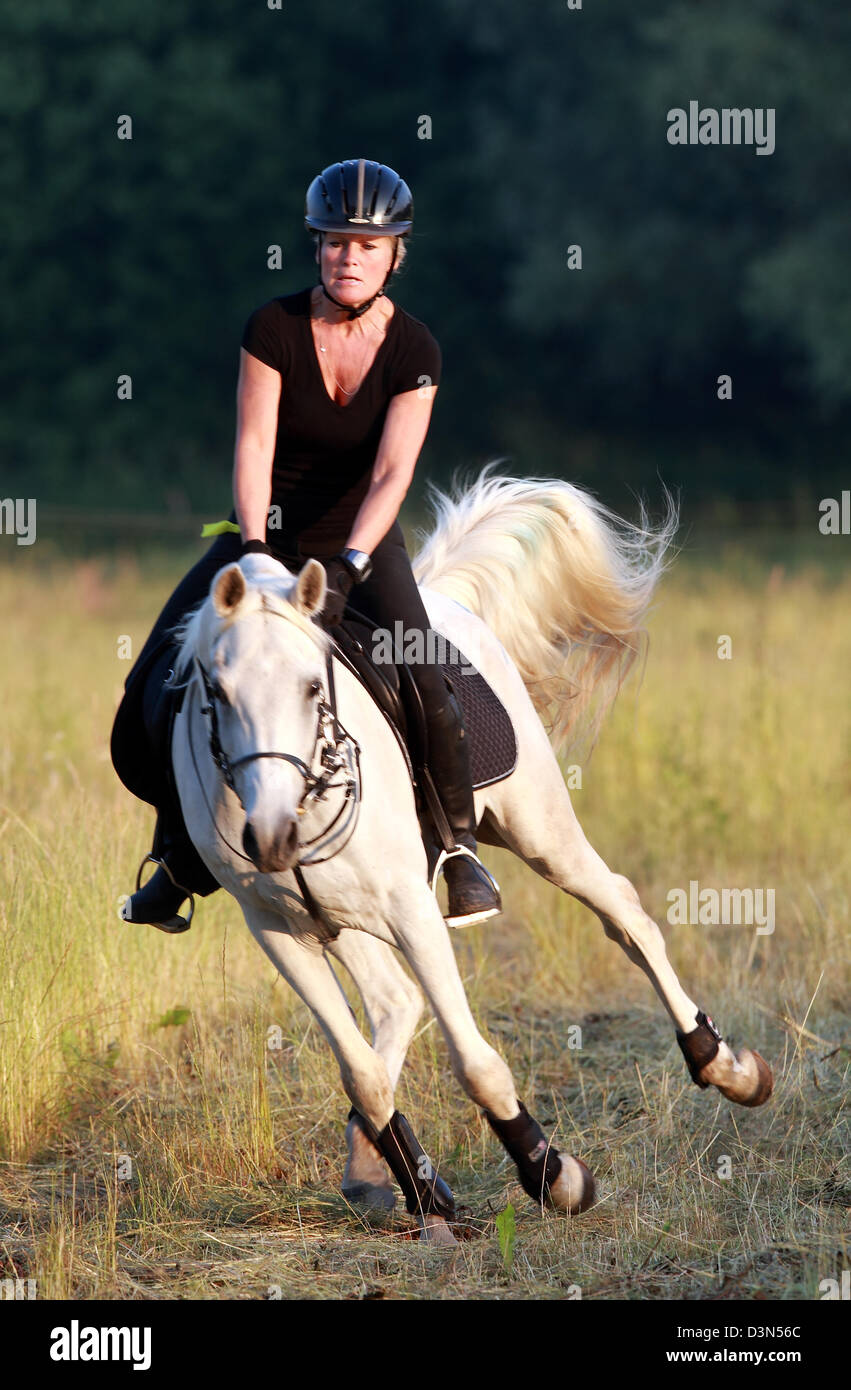 Britz, Germany, horse shy on horseback Stock Photo