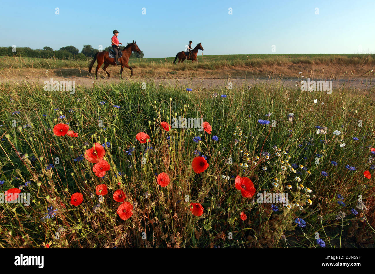 Britz, Germany, riders on an endurance ride Stock Photo