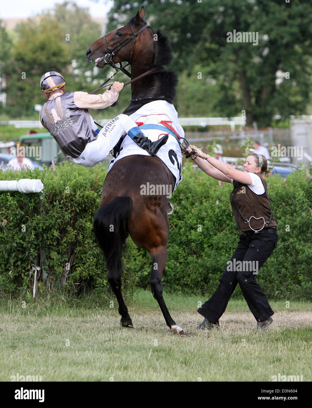 Hamburg, Germany, rearing horse tries to throw off his jockey Stock Photo