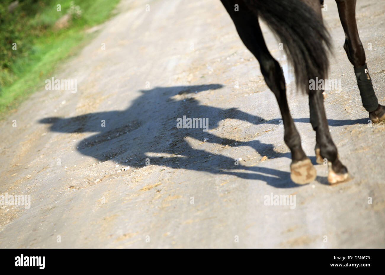 Görlsdorf, Germany, rider casts a shadow on the ground Stock Photo
