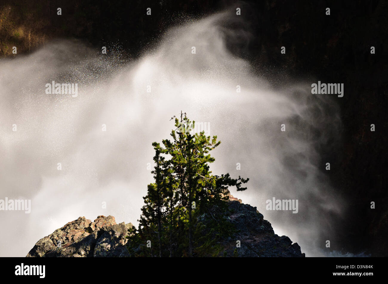 Waterfall and Tree, yellowstone National Park, wyoming Stock Photo