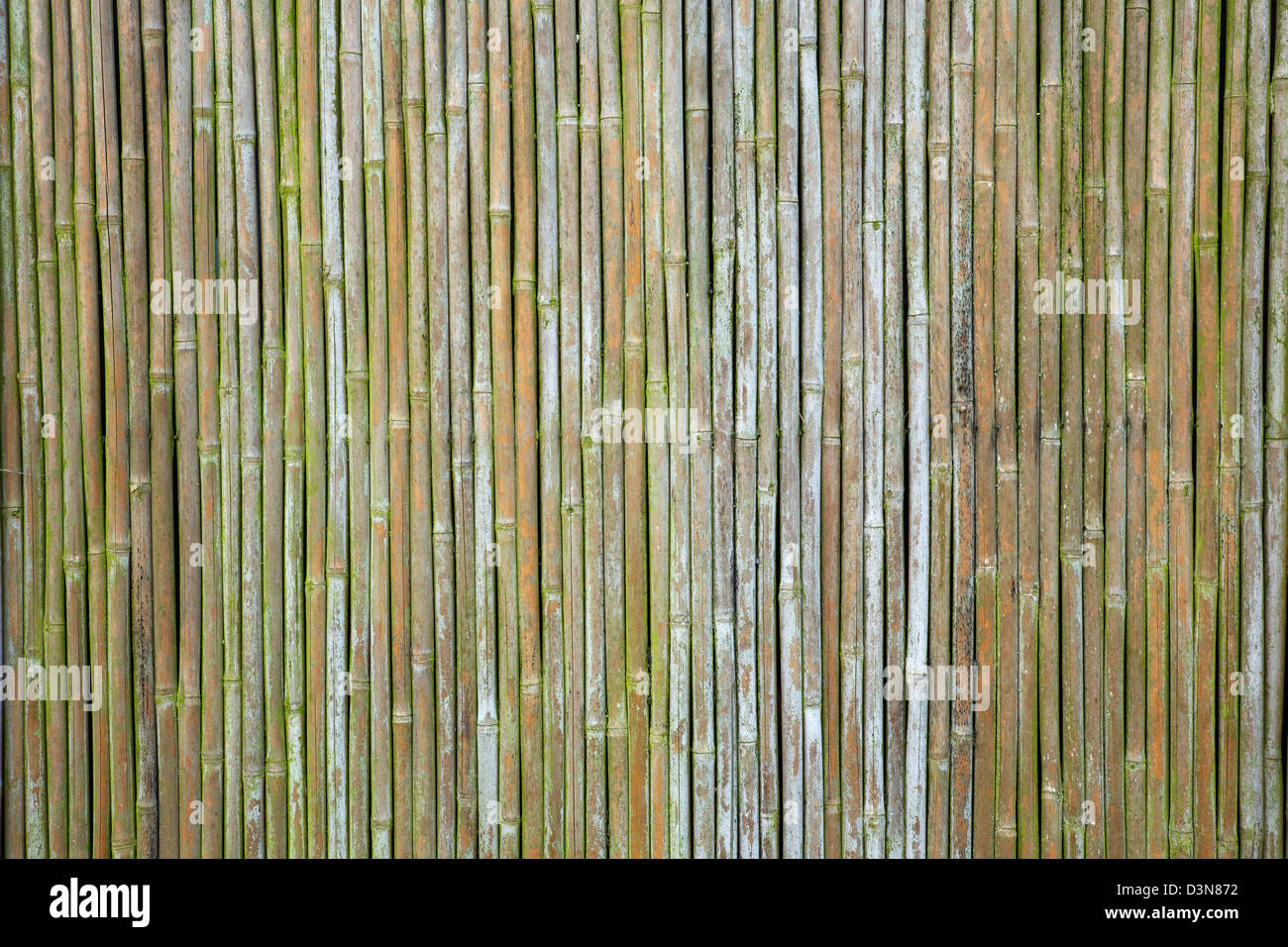 old weathered vertical bamboo wall or curtain Stock Photo