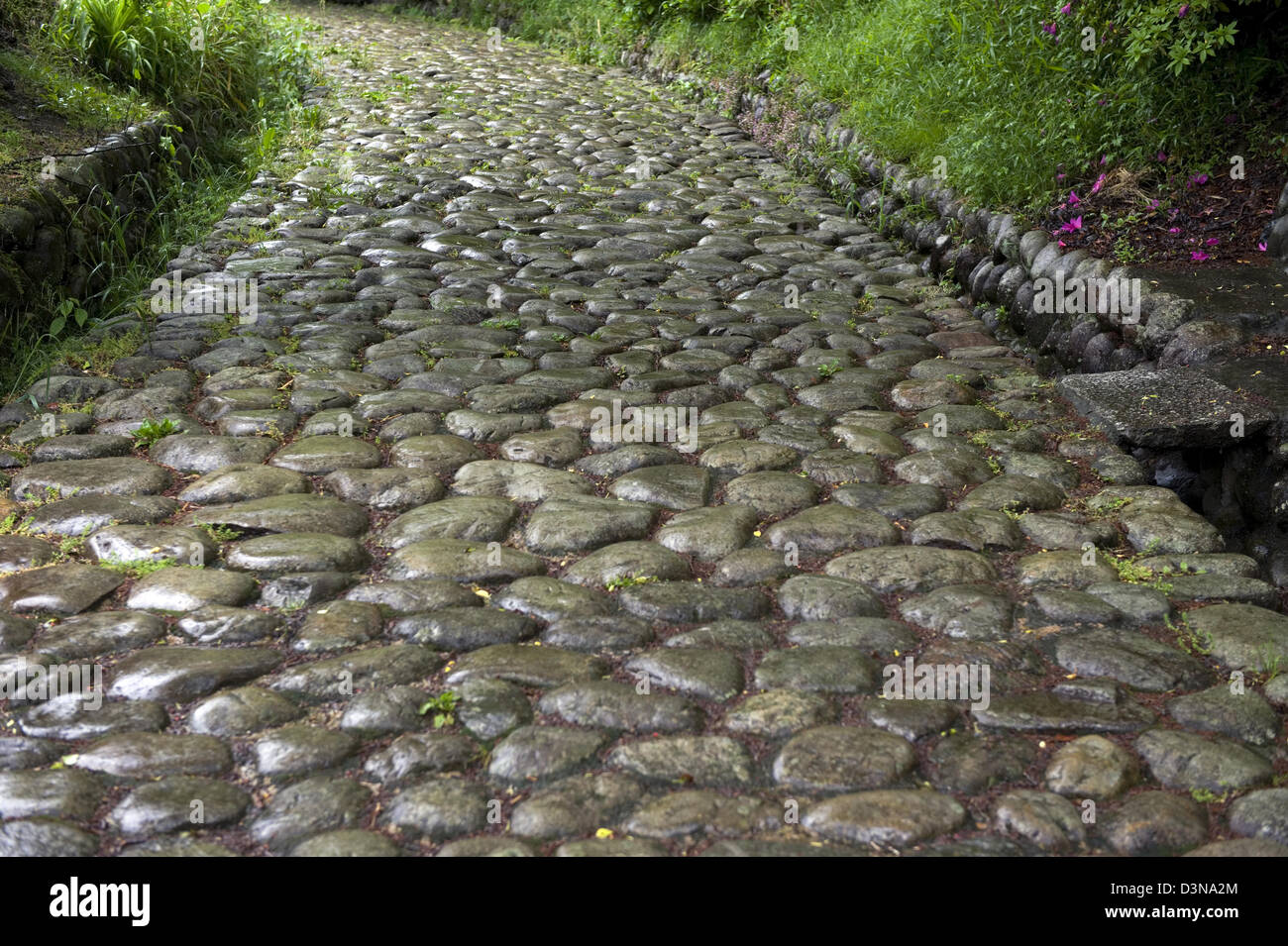 Kanayazaka slope in Shizuoka is a remaining ishidatami cobblestone segment of old historic Tokaido Road between Tokyo and Kyoto. Stock Photo