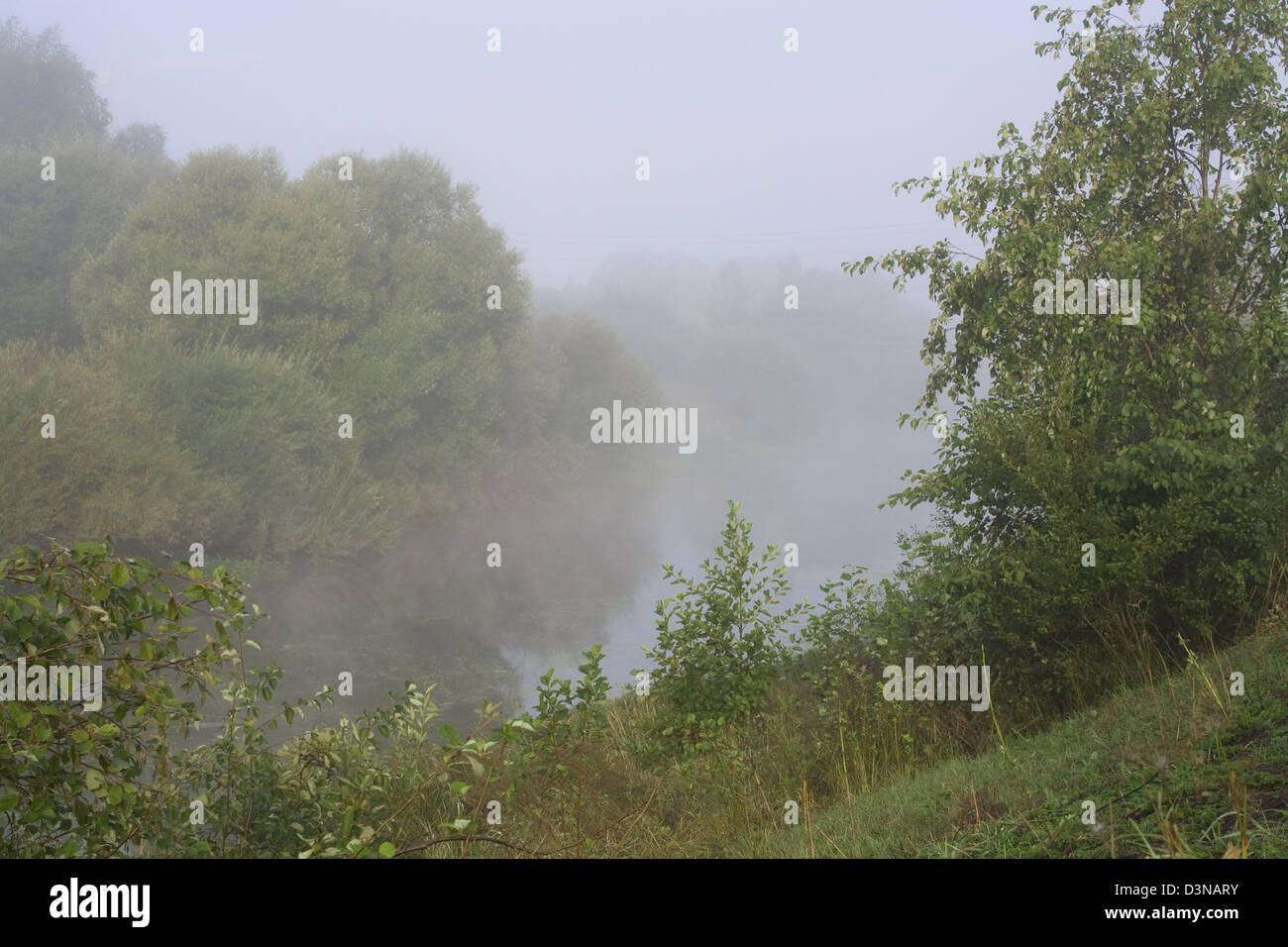 Morning on the river in a fog and sun rays Stock Photo - Alamy