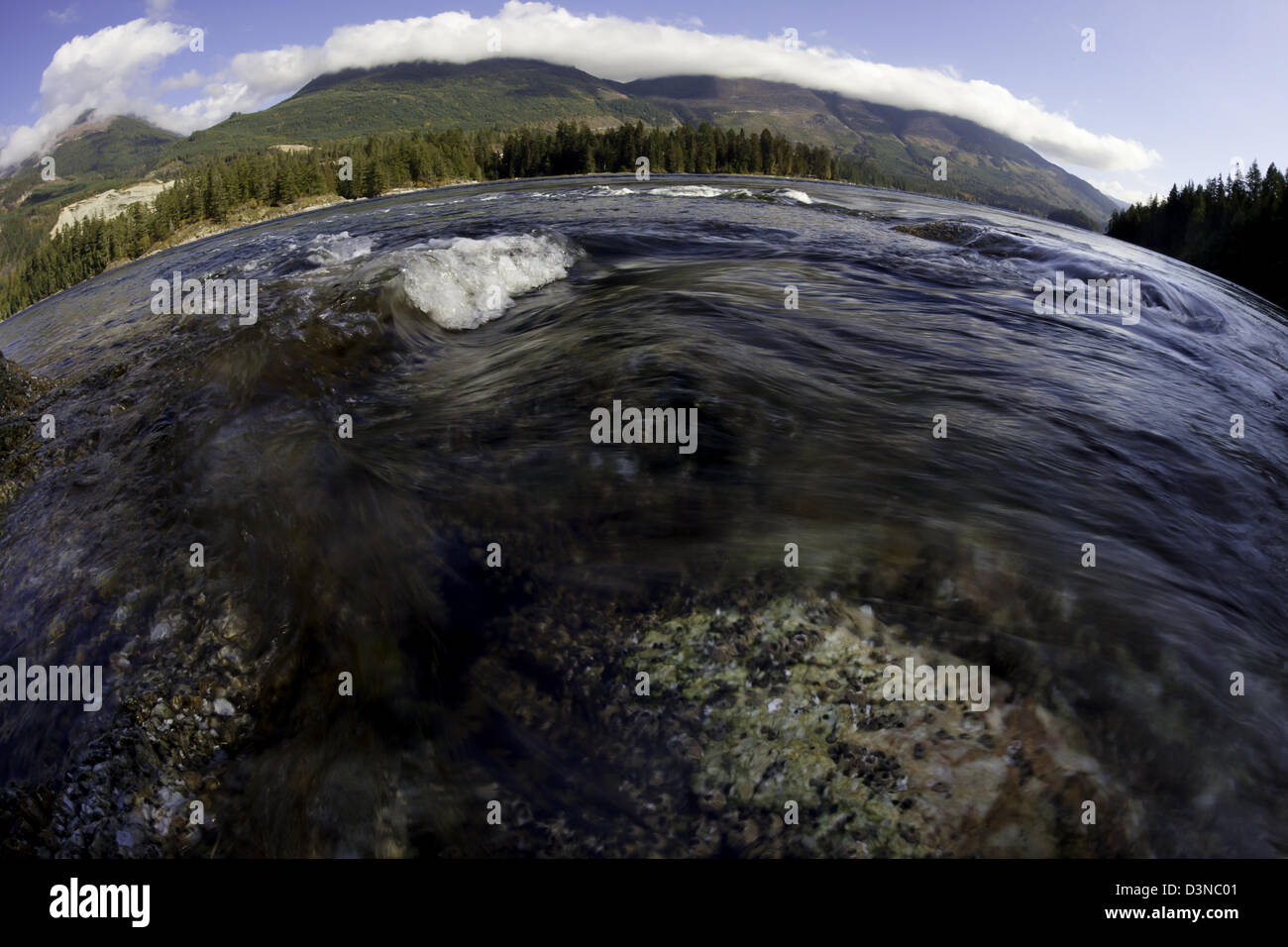 Sechelt Rapids, which connects Sechelt Inlet to Jervis Inlet, on the Sunshine Coast of British Columbia, north of Vancouver. Stock Photo