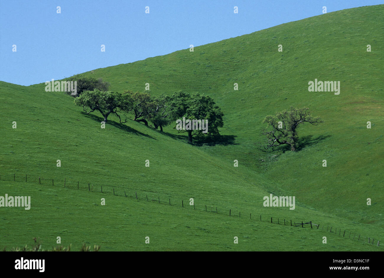 Ranch land in California's Salinas Valley, California Stock Photo Alamy