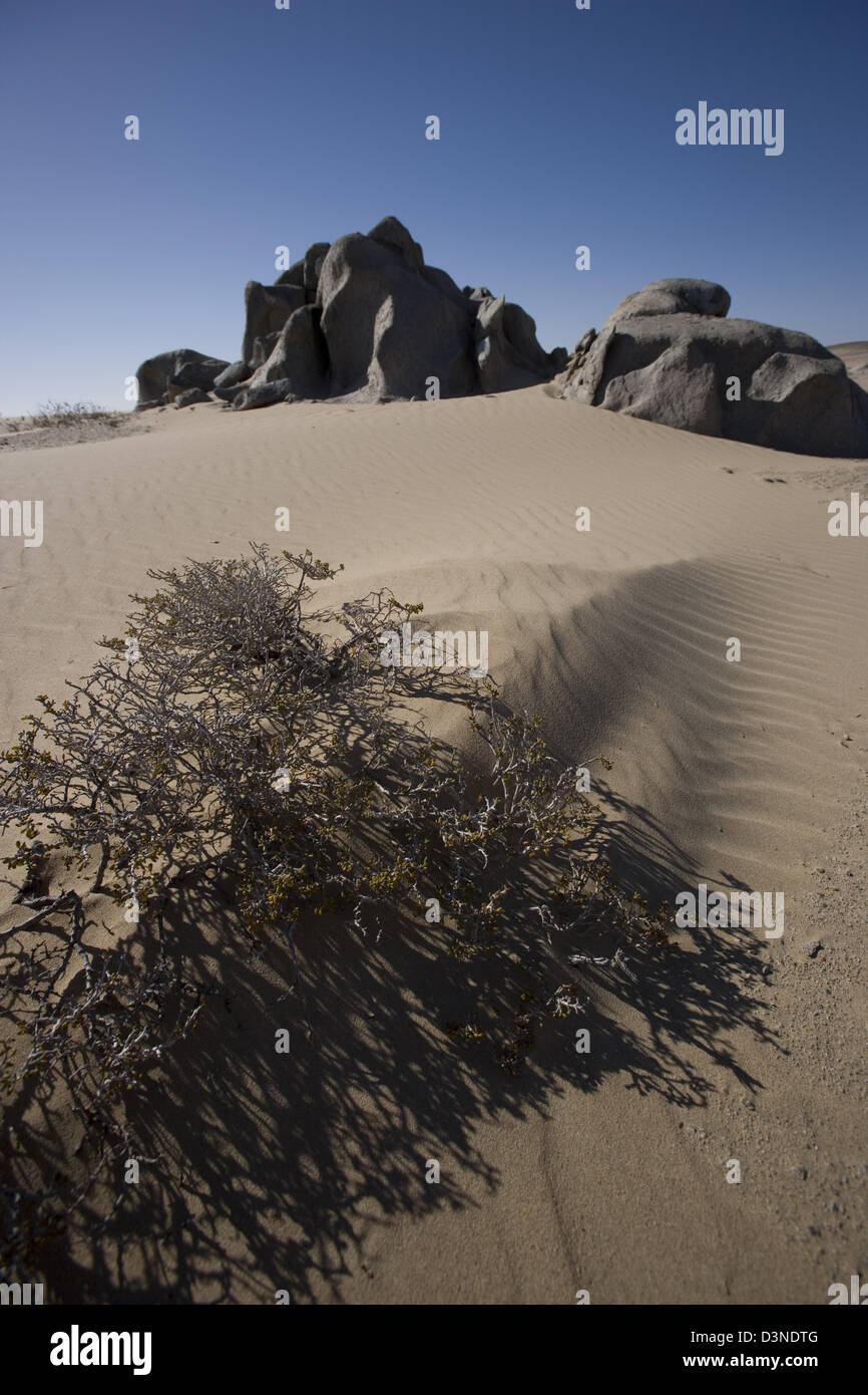 Rock formation and plants on sand dune in the Namibian desert Stock Photo