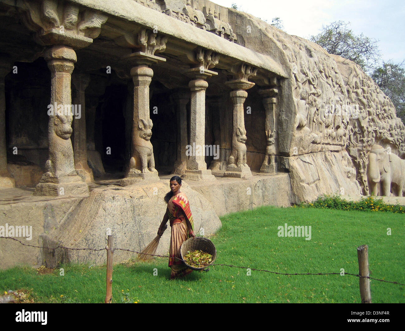 A woman collects foliage in front of Krishna Mandapam, the biggest rock