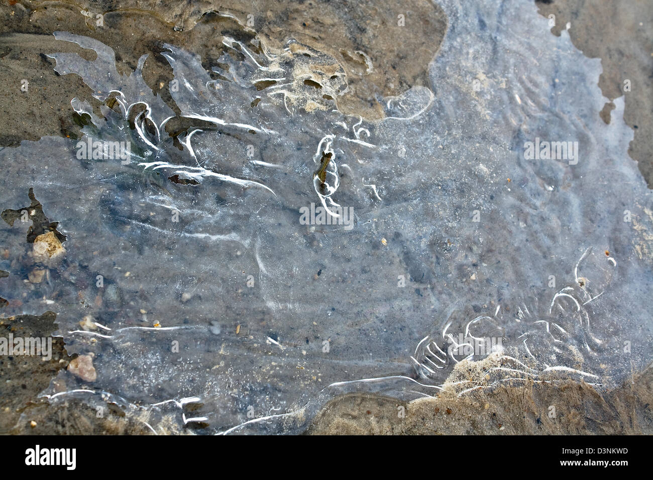 The abstract background from ice Stock Photo - Alamy