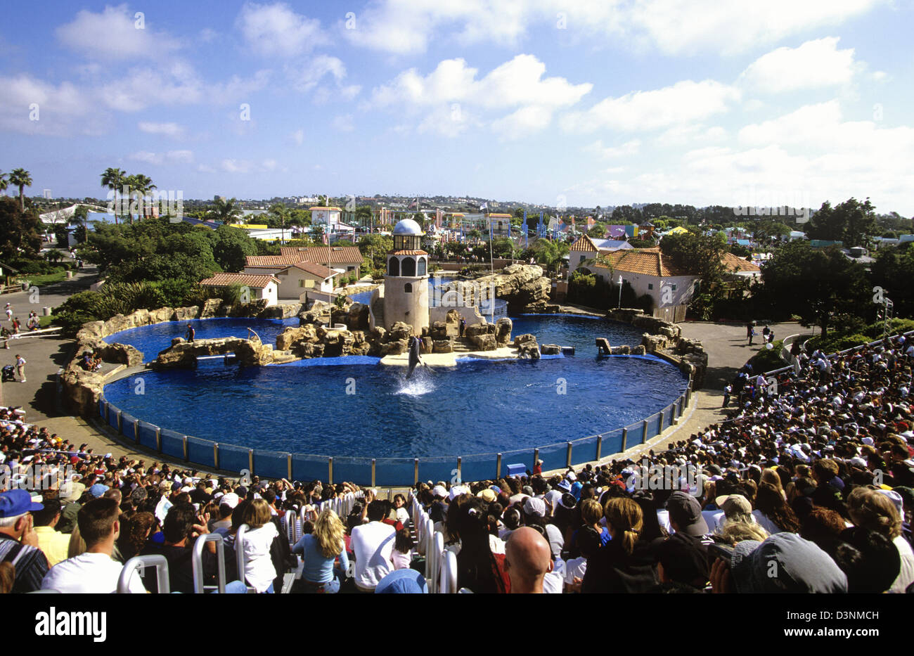 Dolphin Discovery show at Sea World of California, San Diego