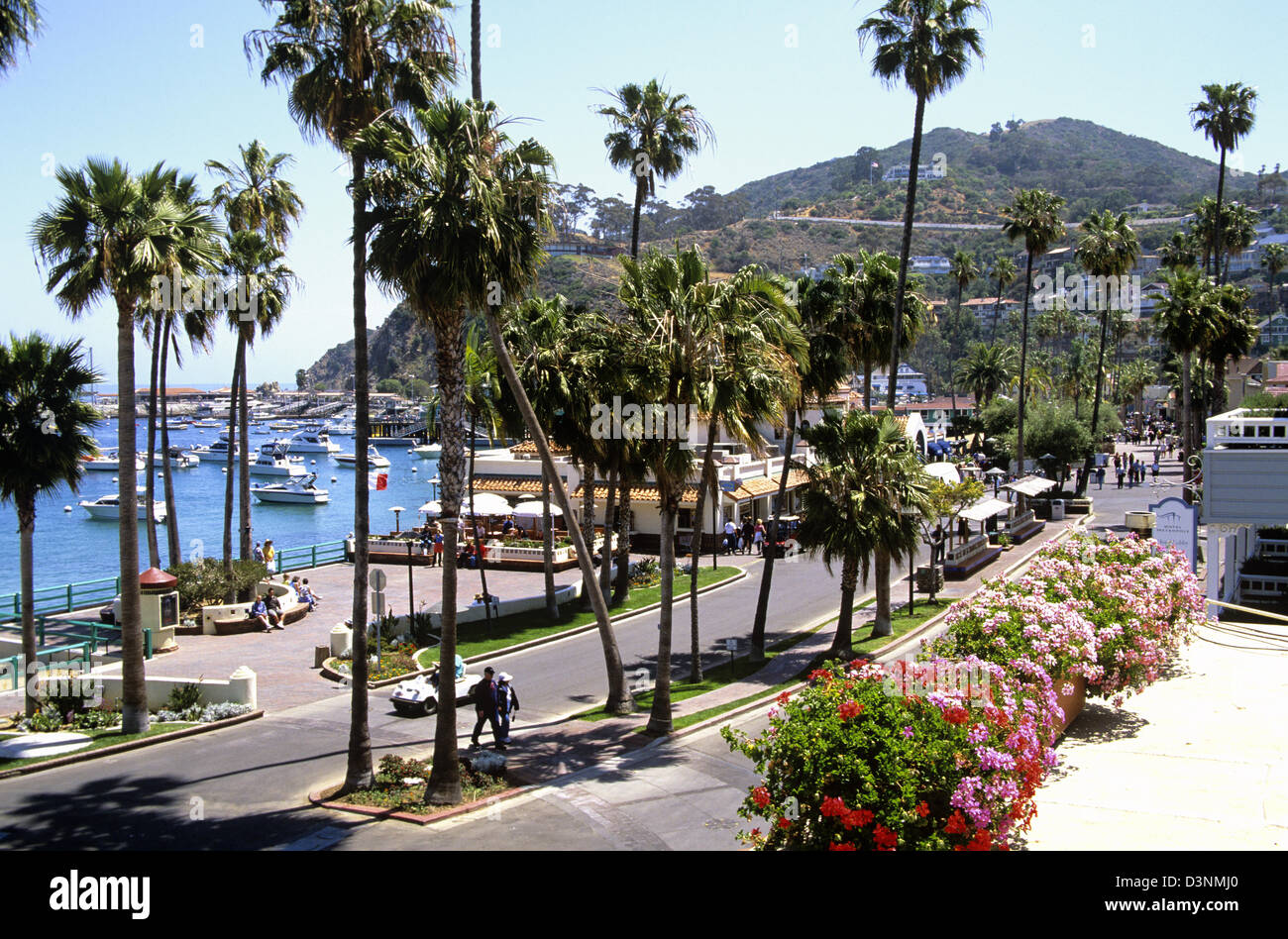 Avalon, Catalina Island, California, USA Stock Photo Alamy