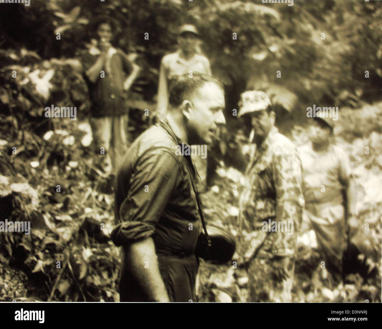 Aircraft Accident C54 Douglas Stock Photo Alamy