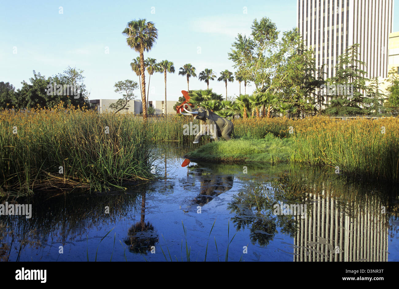 La Brea Tar Pits, Wilshire Boulevard, Los Angeles, California, USA