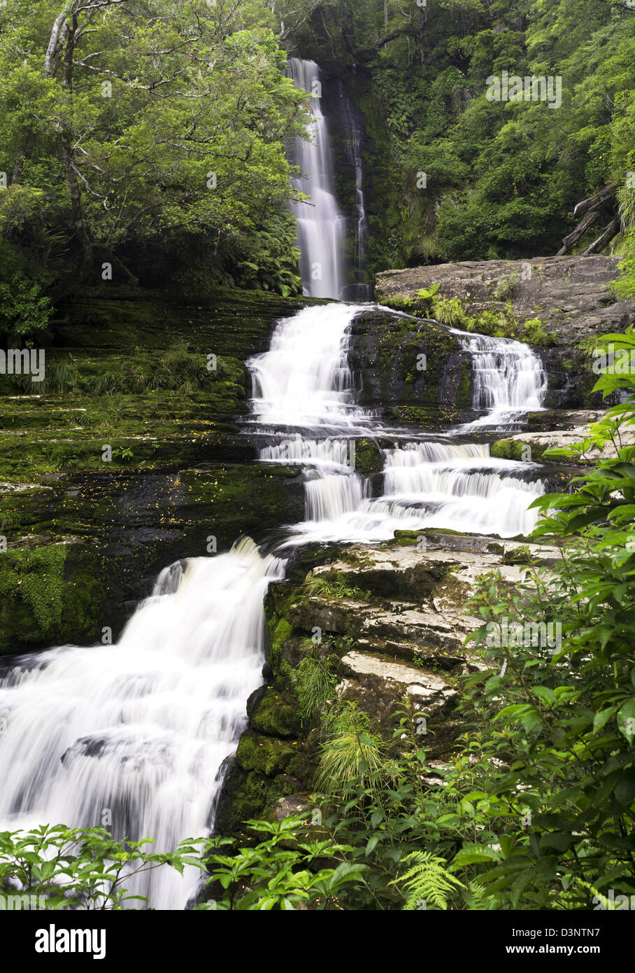 View of McLean Falls and the Tautuku River, Catlins Forest, Clutha, New Zealand Stock Photo