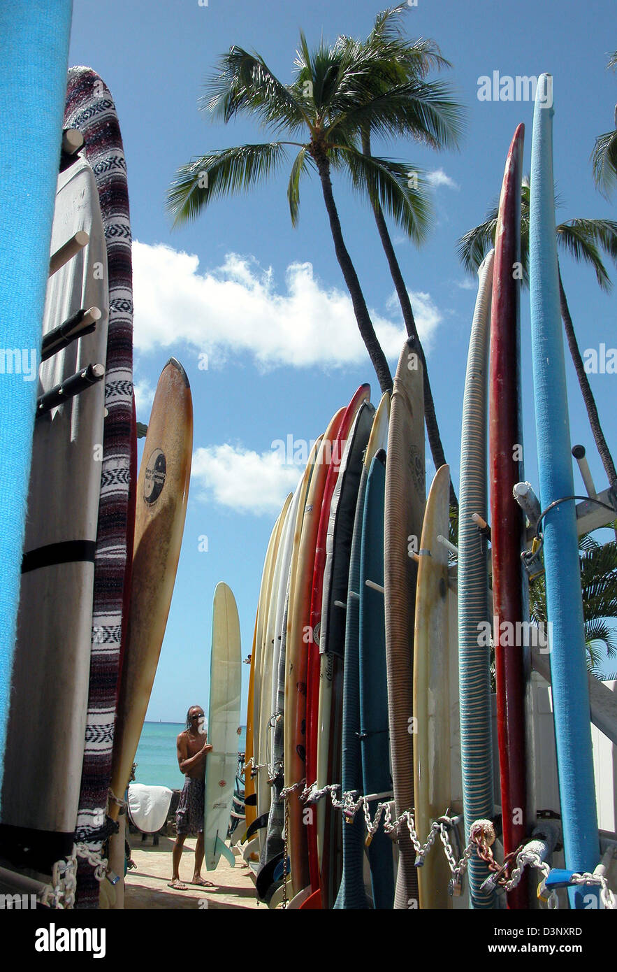 Surfboards lined up at a beach on Hawaii, USA, Friday 14 April 2006. Photo Juergen Effner Stock
