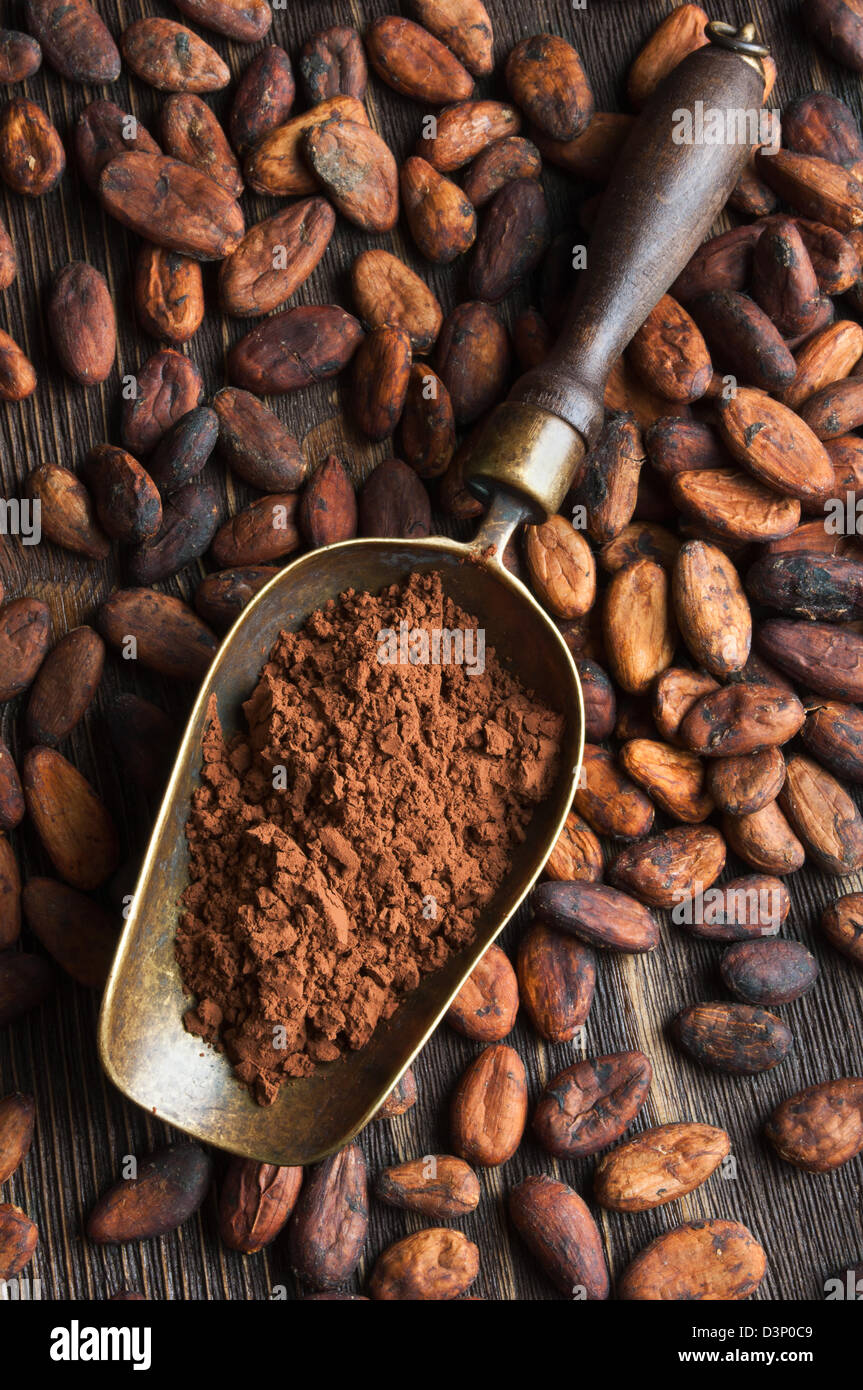 cocoa beans and retro scoop with cocoa powder Stock Photo