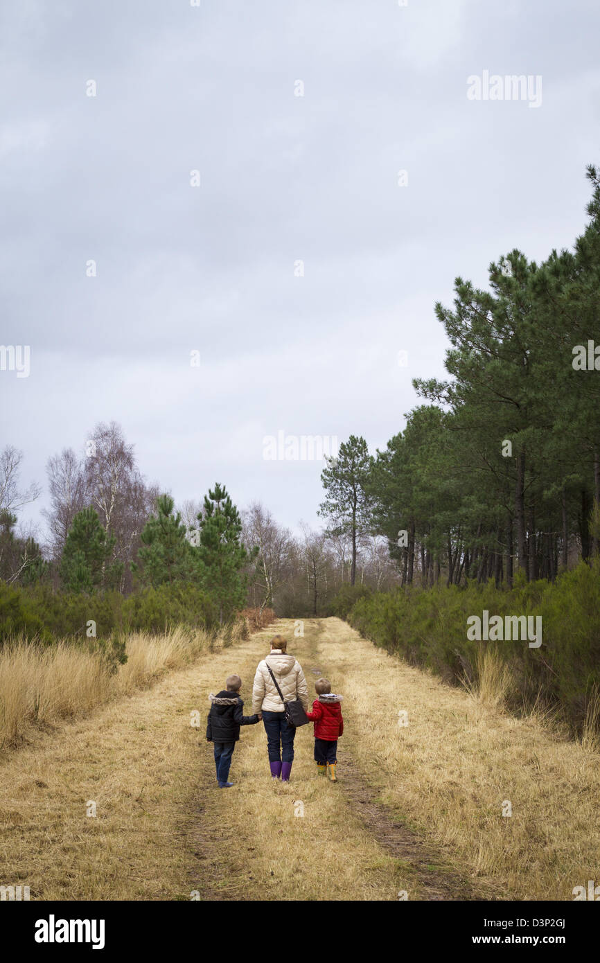 Mother with children hiking in woods. Stock Photo