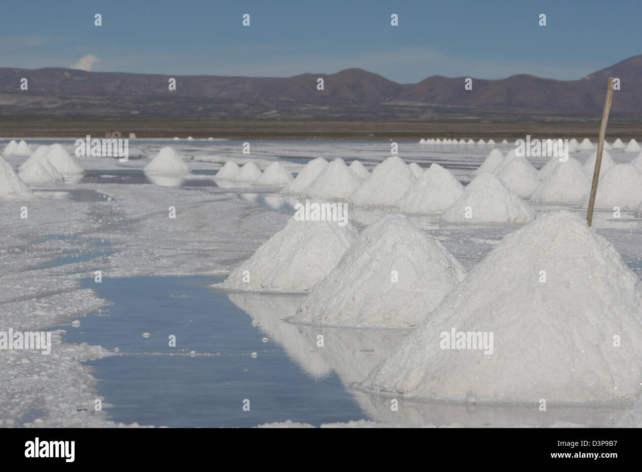 Salt flats at Uyuni Stock Photo Alamy