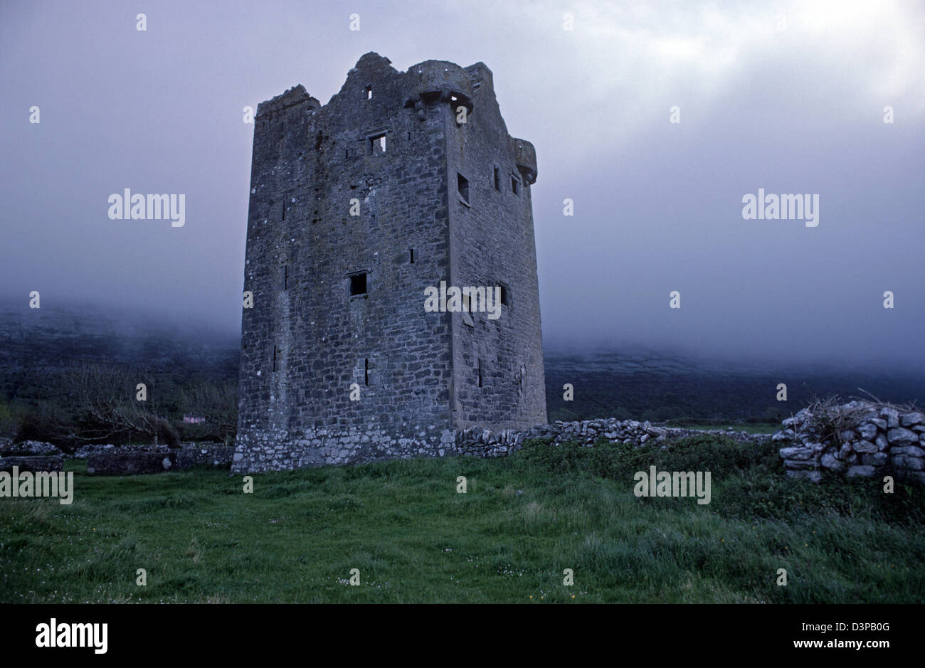 Gleninagh Castle, 16th Century Tower House, The Burren, Co Clare