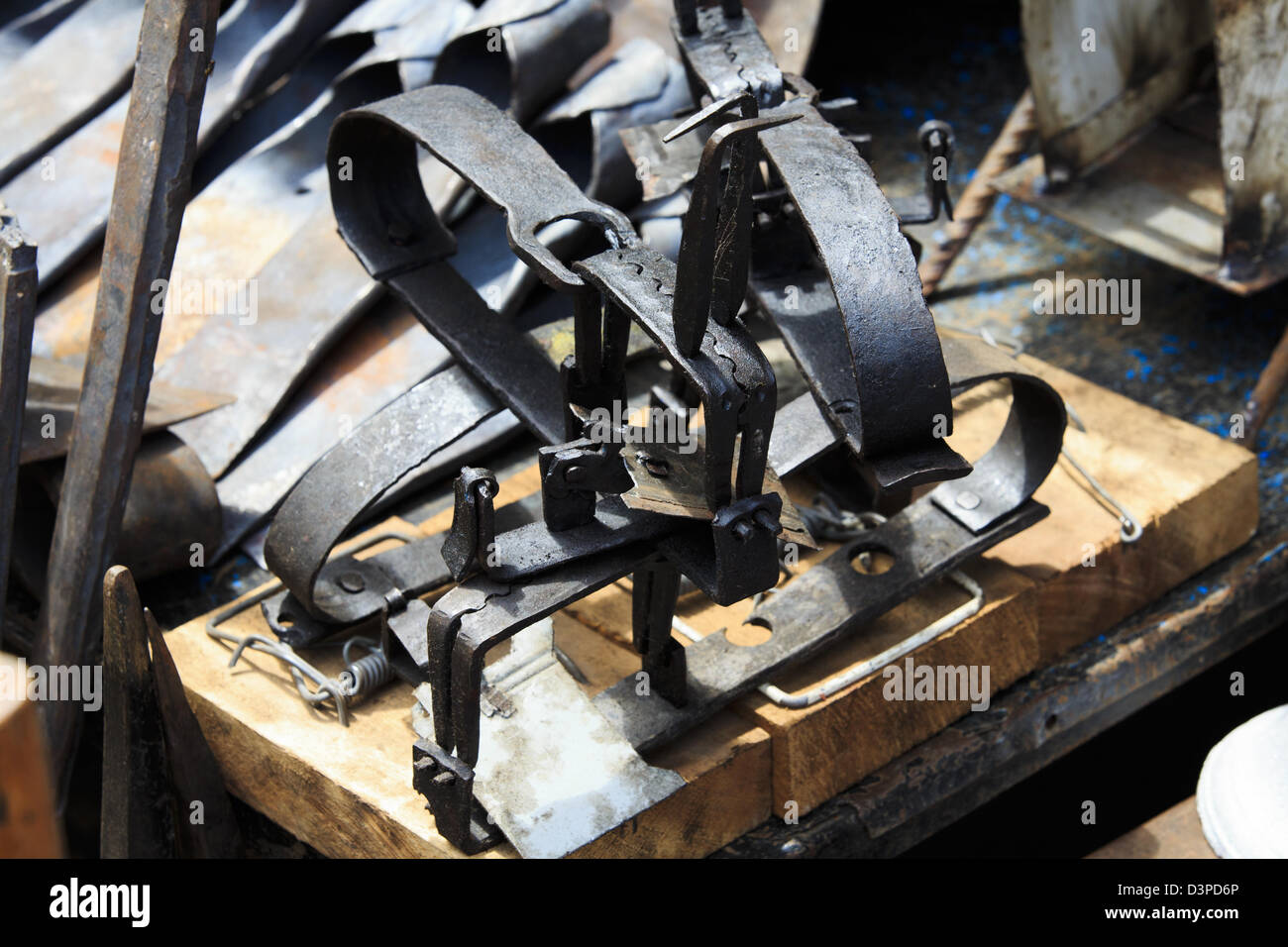 Top 169 + Animal traps for sale near me