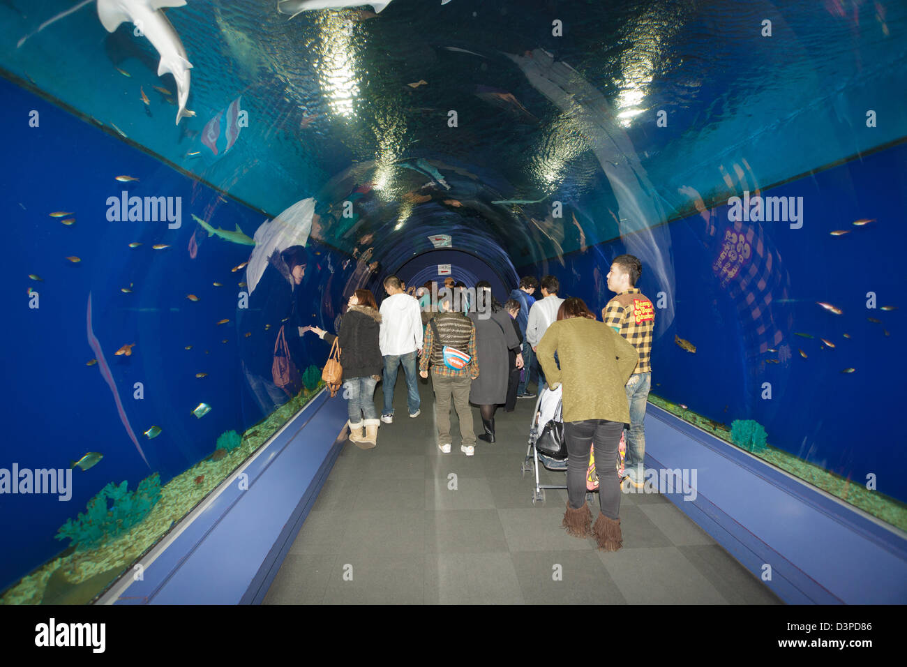 Water tunnel in Kaiyukan Osaka aquarium, japan Stock Photo Alamy