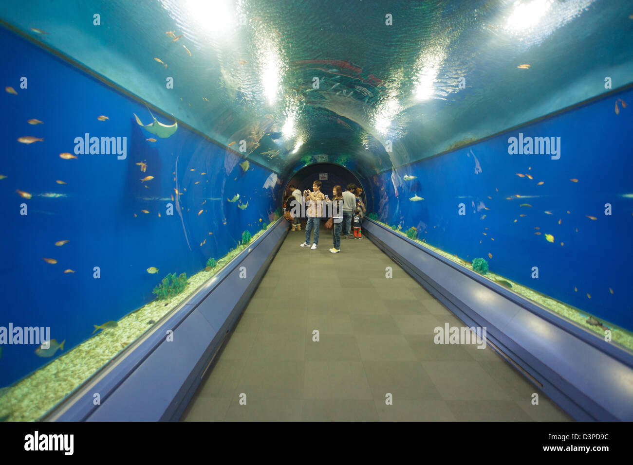 Water tunnel in Kaiyukan Osaka aquarium, japan Stock Photo Alamy