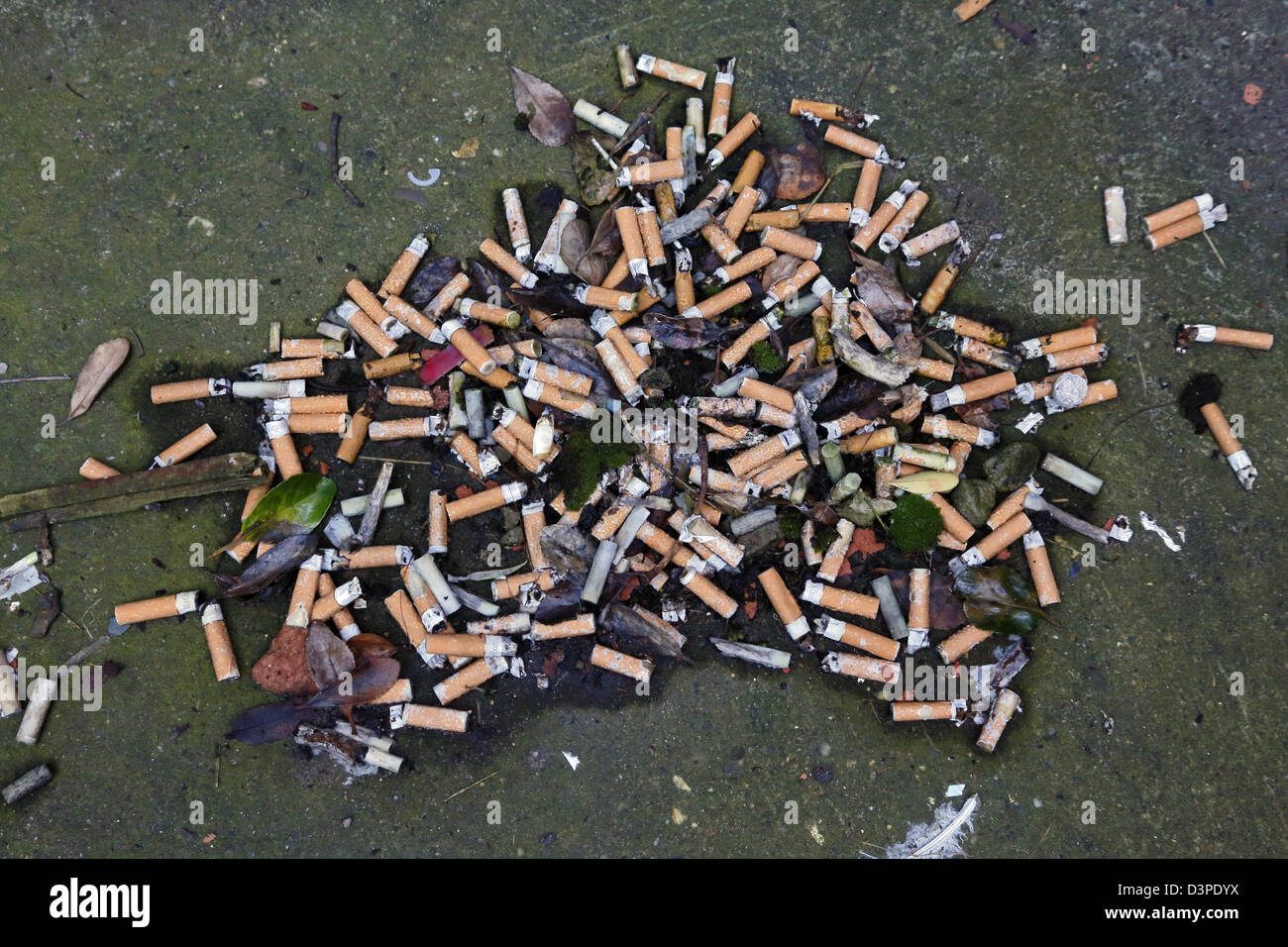 dangers of smokeless tobacco SmokelessTobacco dangers of smokeless tobacco SmokelessTobacco