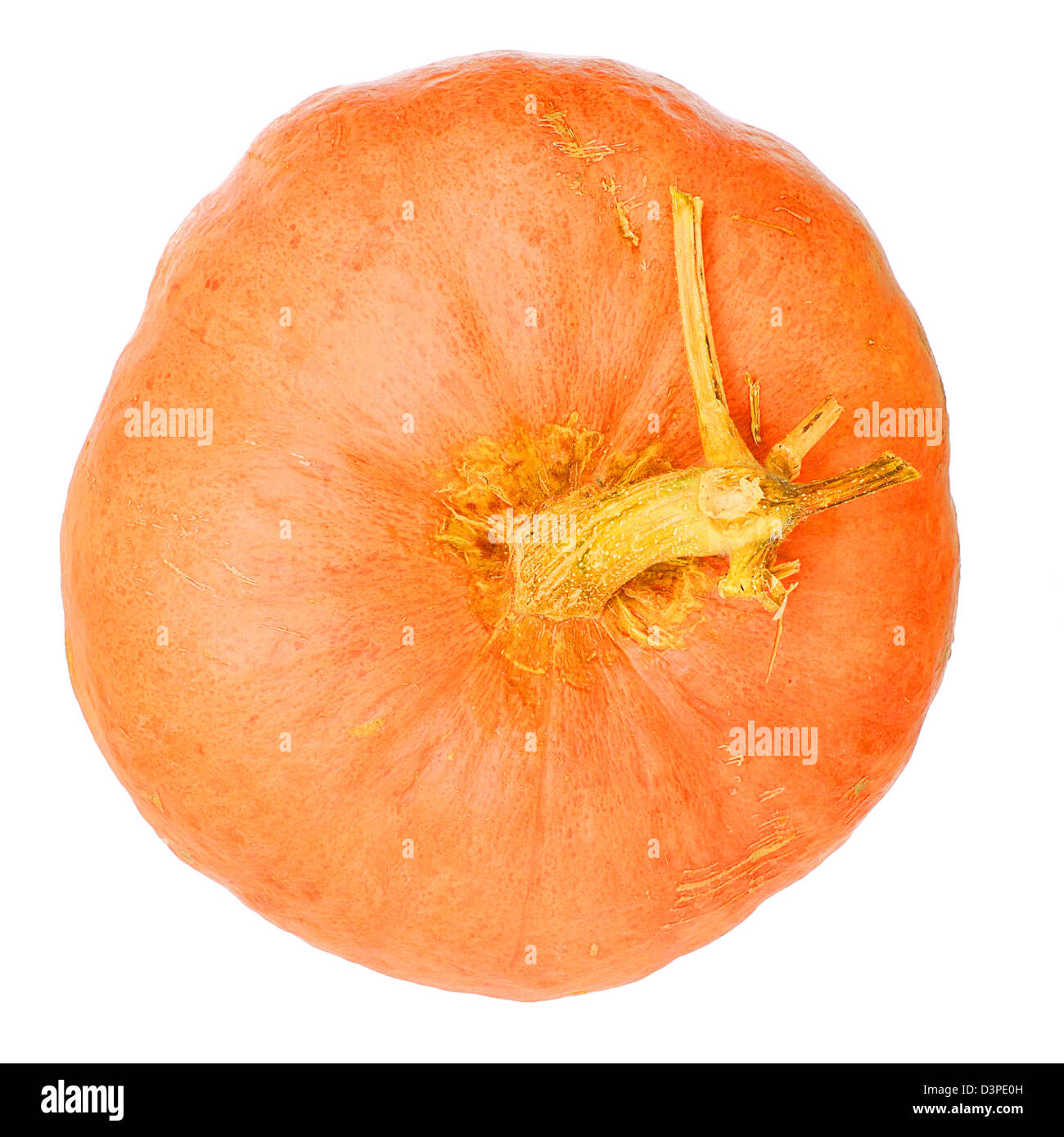 ripe orange pumpkin isolated on white background Stock Photo - Alamy