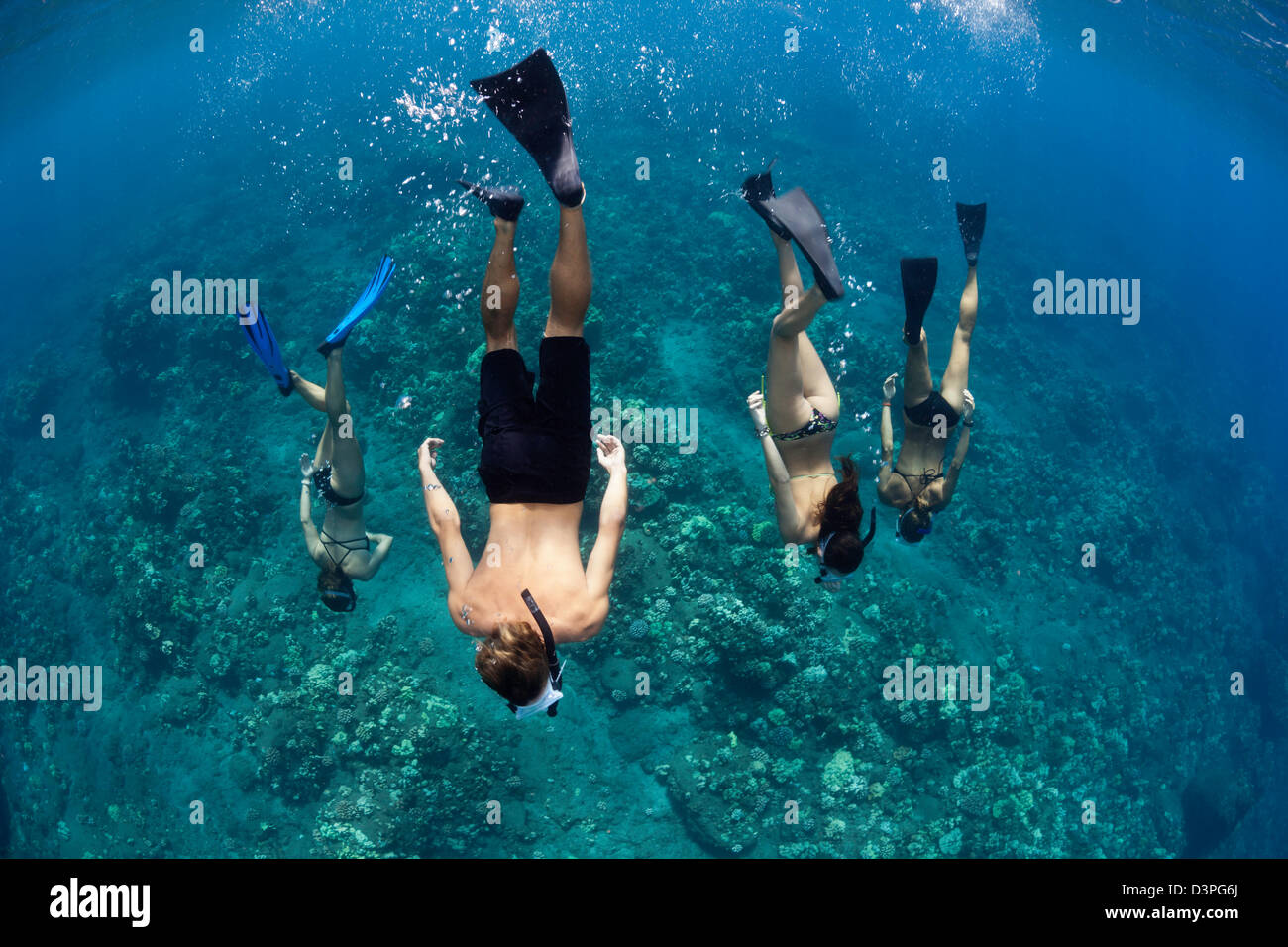 A group of young people (MR) free diving off the island of Lanai, Hawaii. Stock Photo