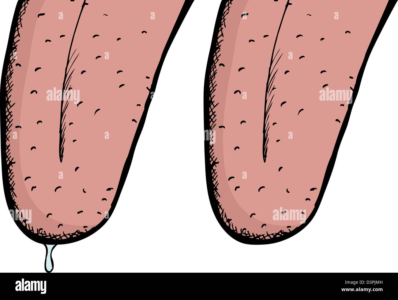 Close up of dog tongue with dripping saliva Stock Photo Alamy