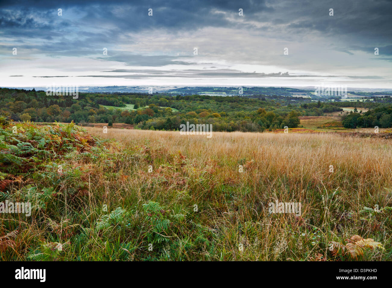 Broadstone warren hires stock photography and images Alamy