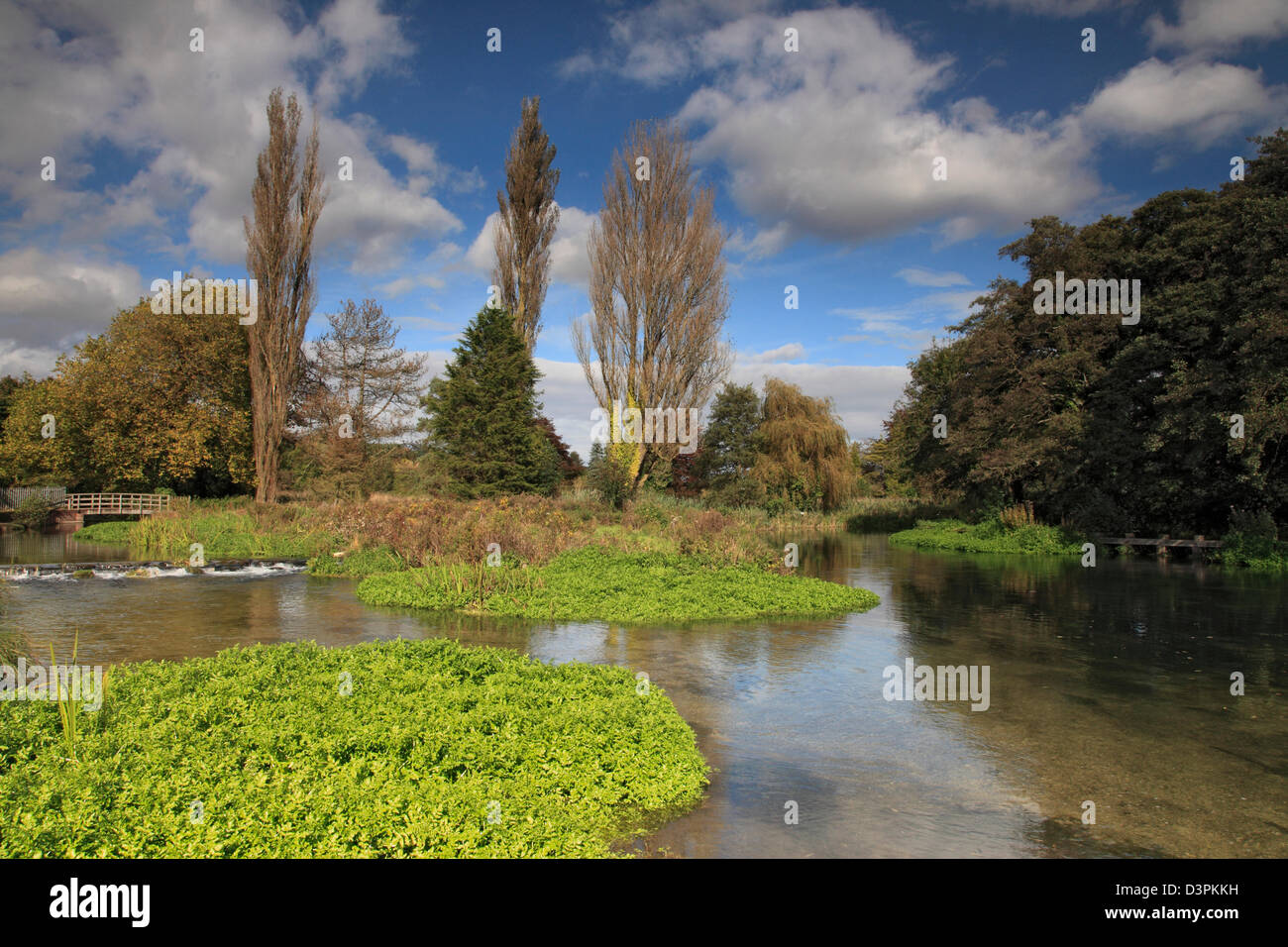 Tranquil River Itchen, Hampshire, UK Stock Photo