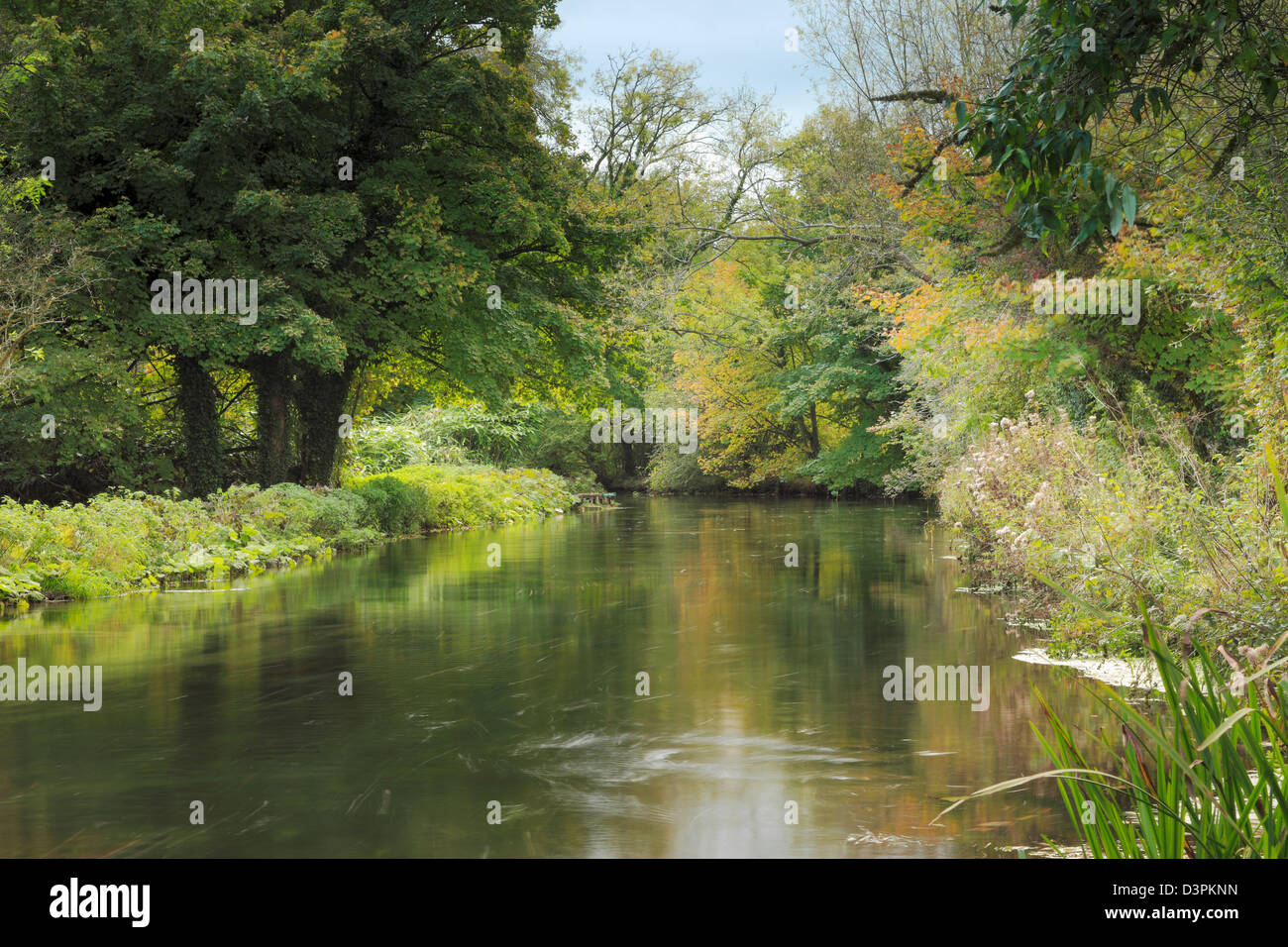 Fishing river itchen hires stock photography and images Alamy