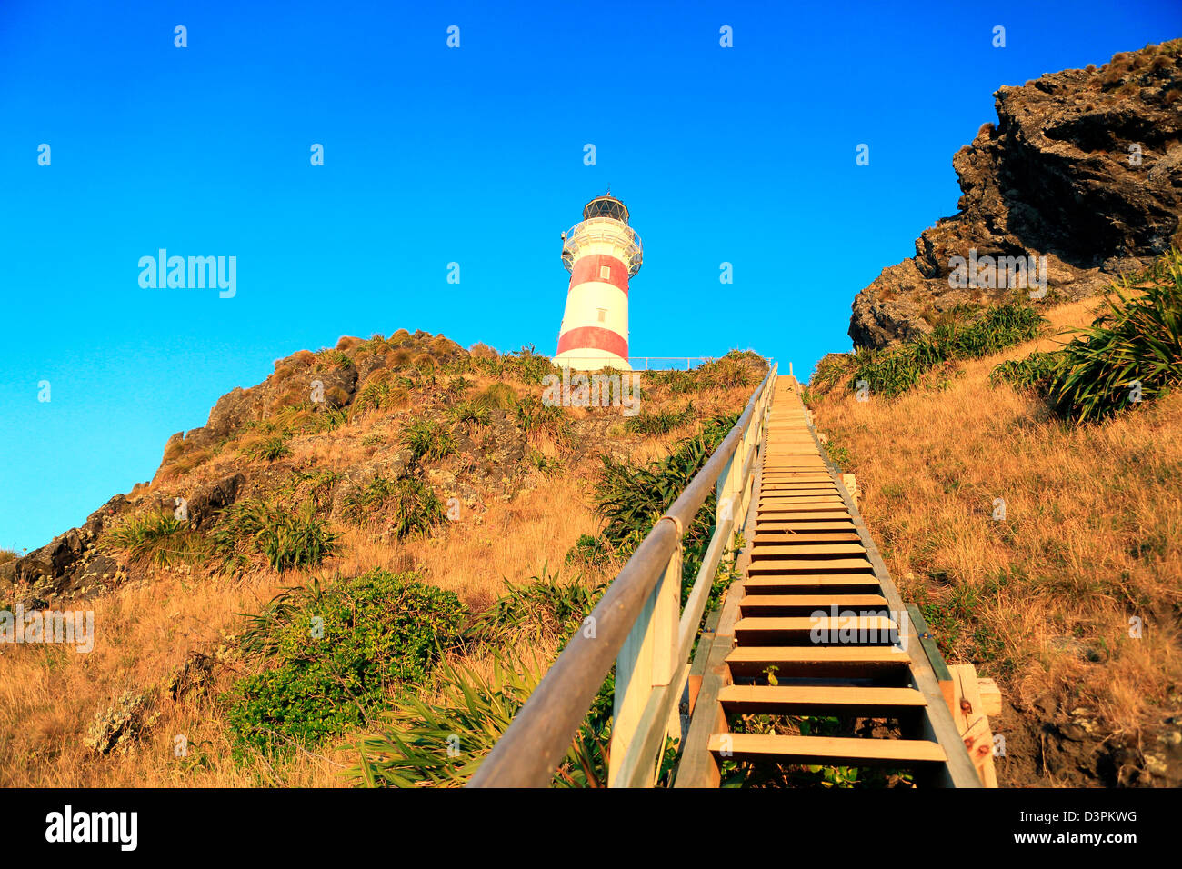 Steep wooden stairs to Cape Palliser lighthouse in the south Wairarapa Stock Photo
