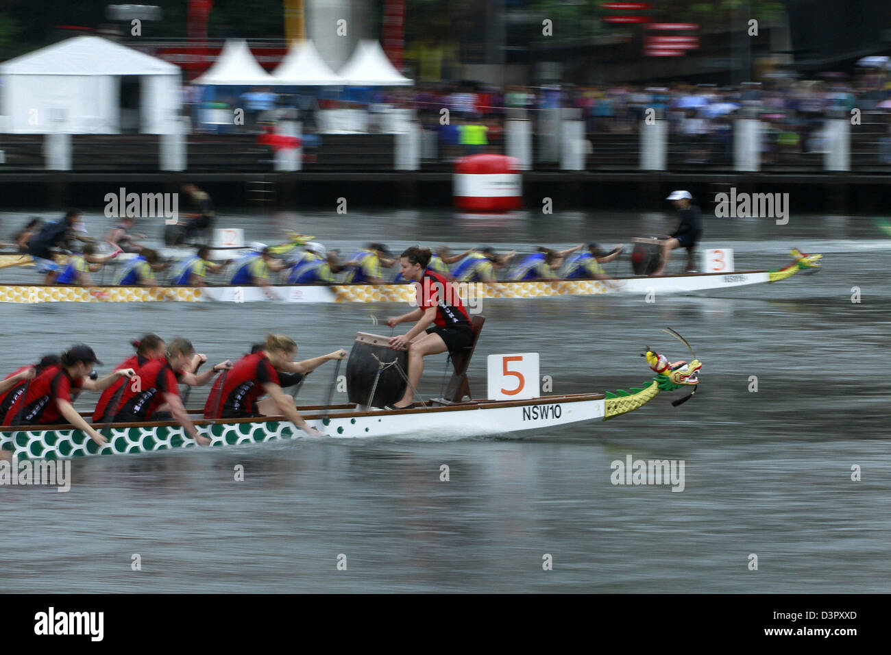 chinese new year sydney dragon boat races