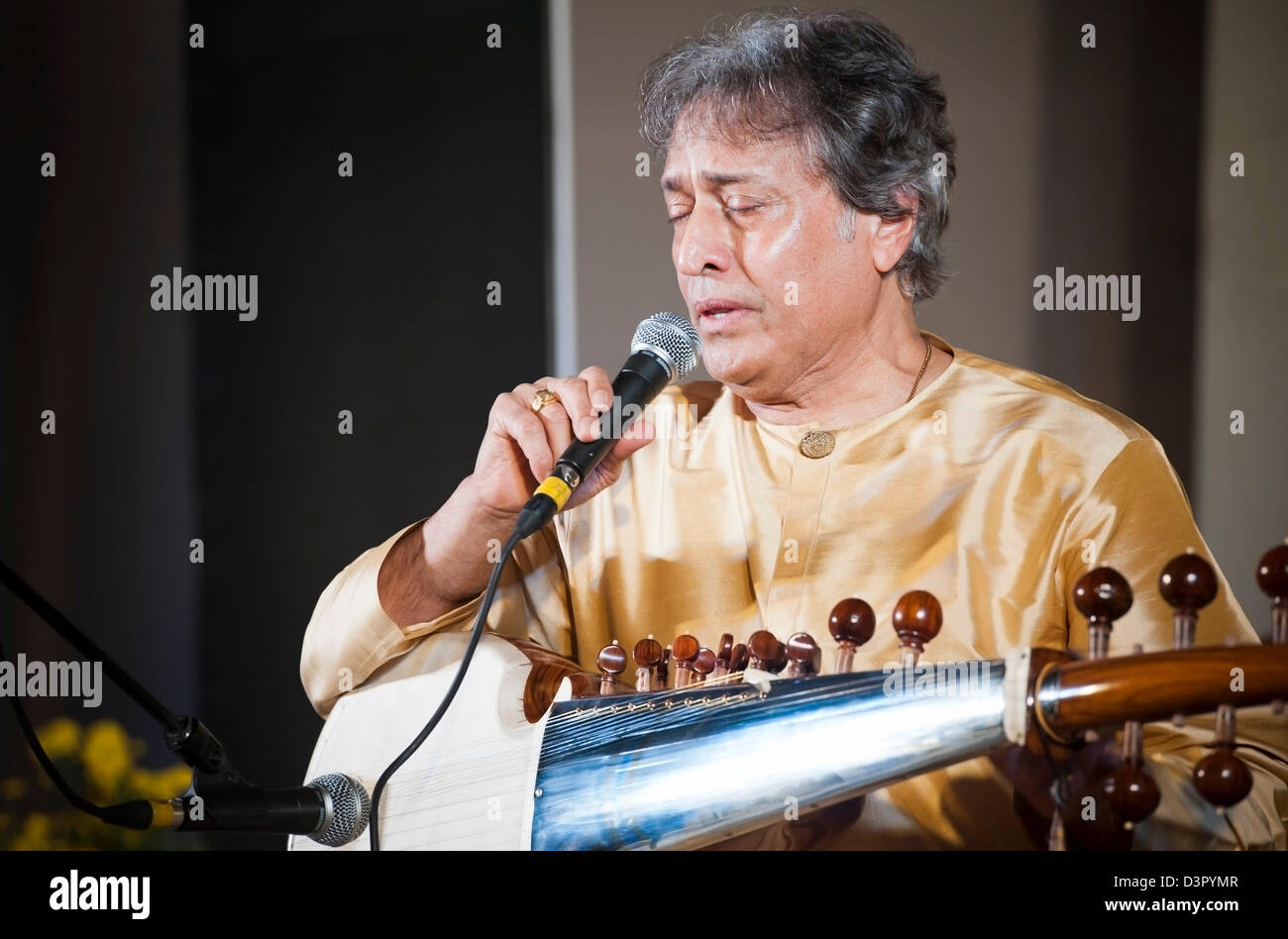 Sarod hires stock photography and images Alamy
