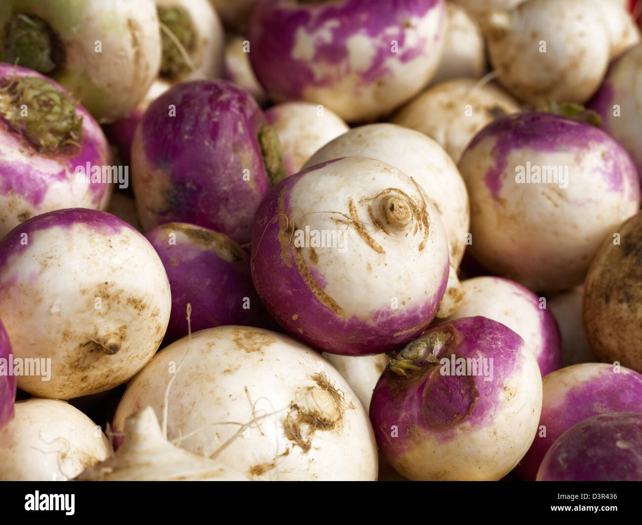 Fresh turnips for sale at market in Turkey Stock Photo Alamy