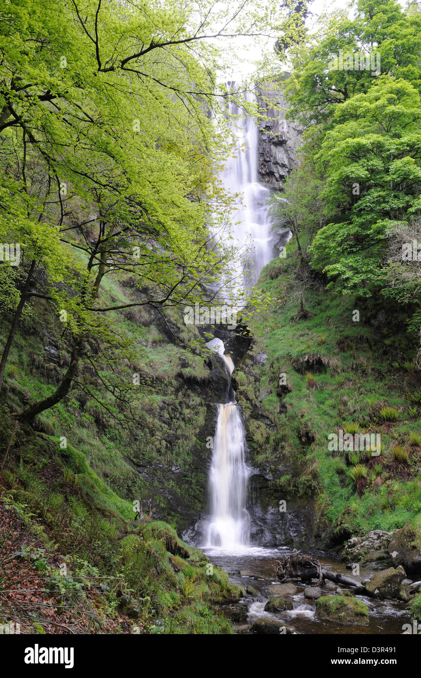 Pistyll Rhaeadr Waterfall Nr Llanrhaeadr ym Mochnant Powys Wales Cymru