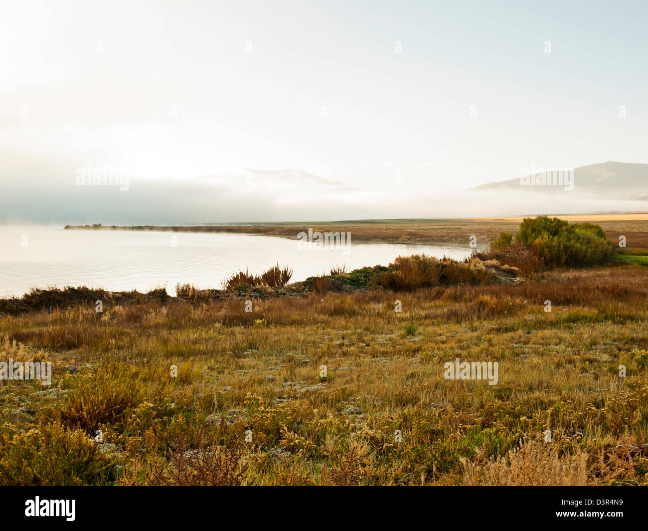 Early morning at the lake with fog in early Fall Stock Photo - Alamy