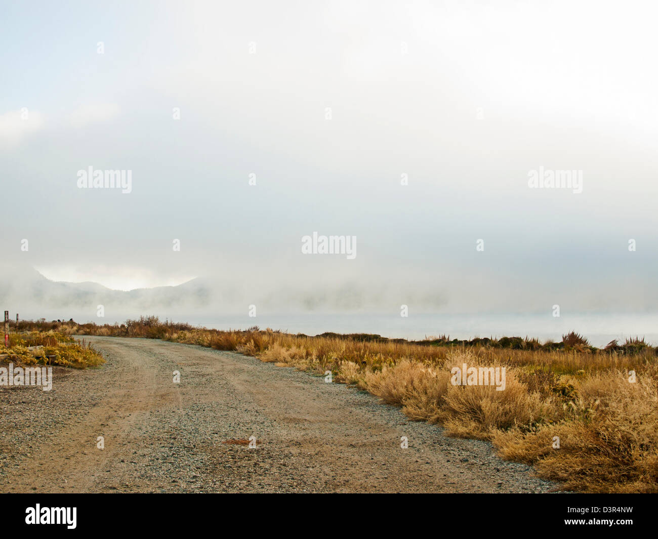Early morning at the lake with fog in early Fall Stock Photo - Alamy