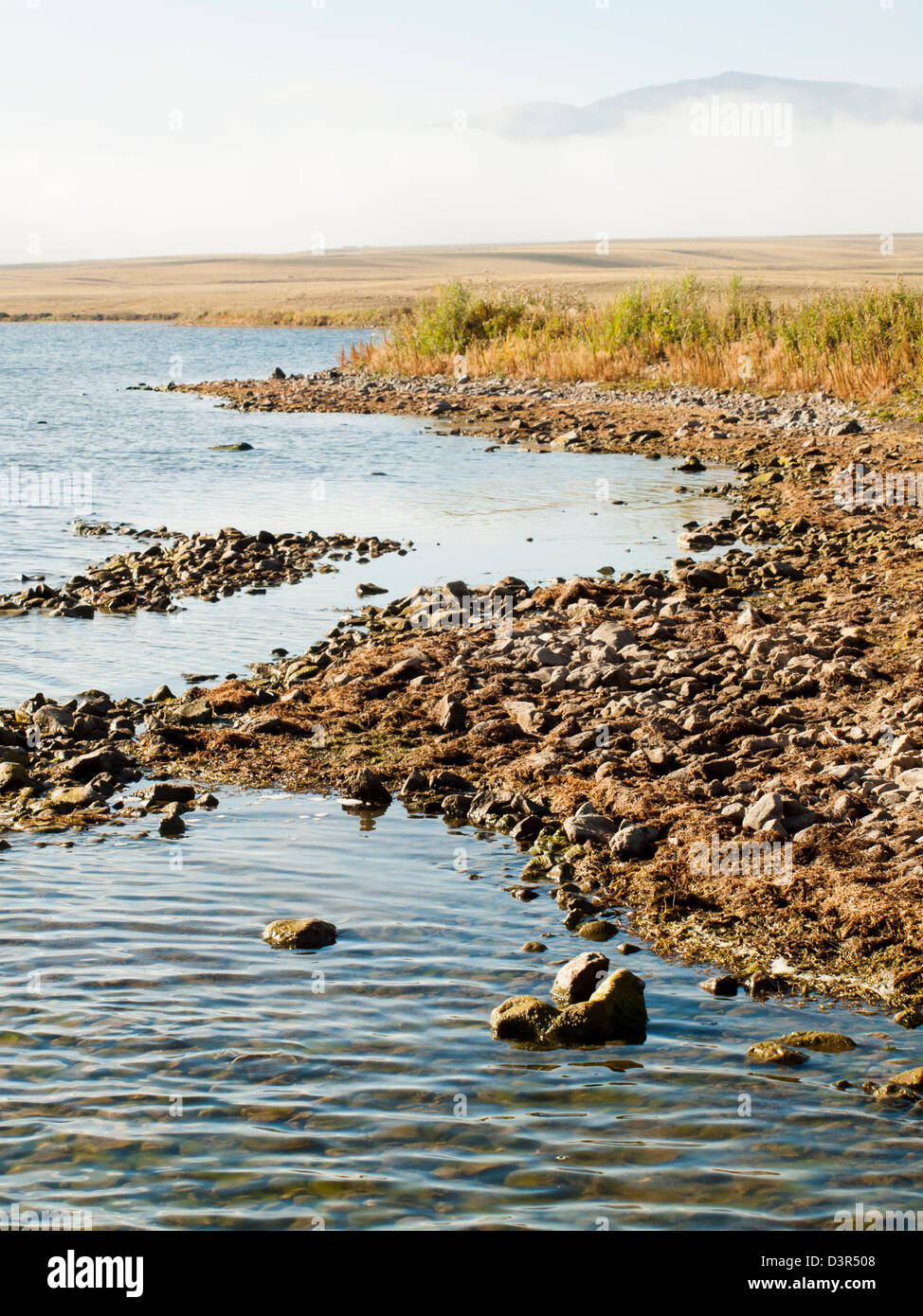 Early morning at the lake with fog in early Fall Stock Photo - Alamy