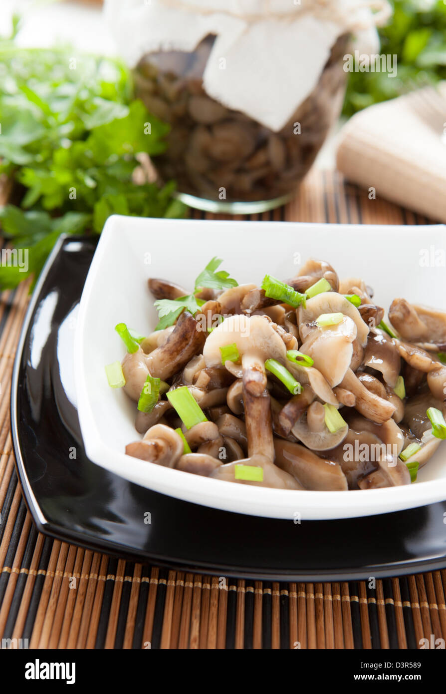 tinned mushrooms and green onions, closeup Stock Photo Alamy