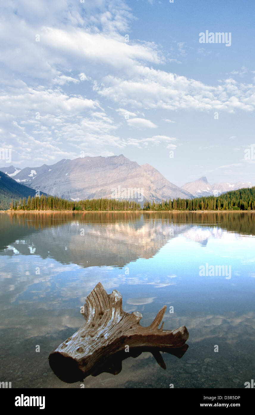 Morning calm, Upper Kananaskis Lake, Peter Lougheed Provincial Park, Alberta, Canada Stock Photo