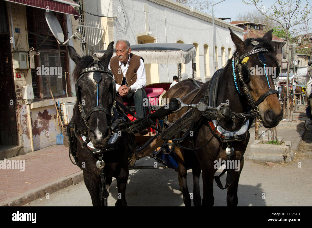 OLD MAN SITTING IN A CART THAT IS BEING PULLED BY TWO HORSES Stock