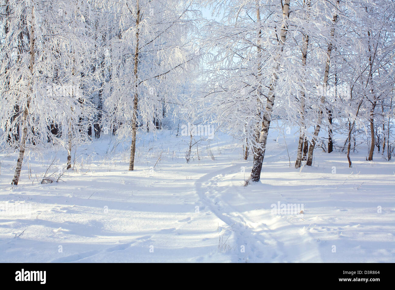 Beautiful cold winter landscape hi-res stock photography and images - Alamy
