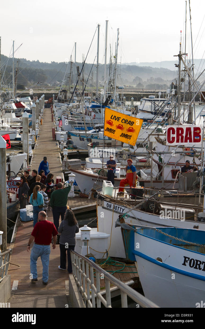 Crab fishermen selling fresh crabs from their boats on the dock at
