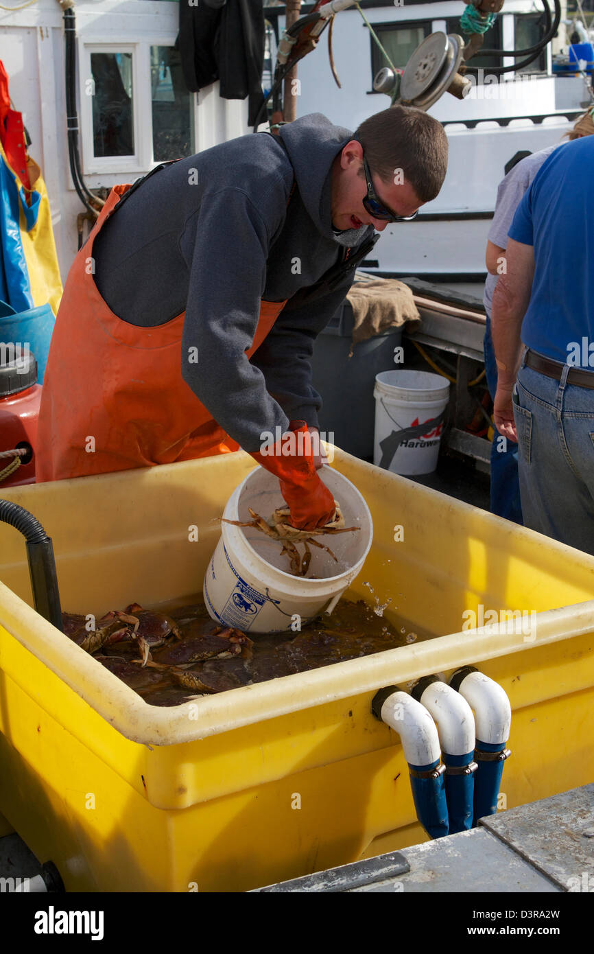 Crab fishermen selling fresh crabs from their boats on the dock at