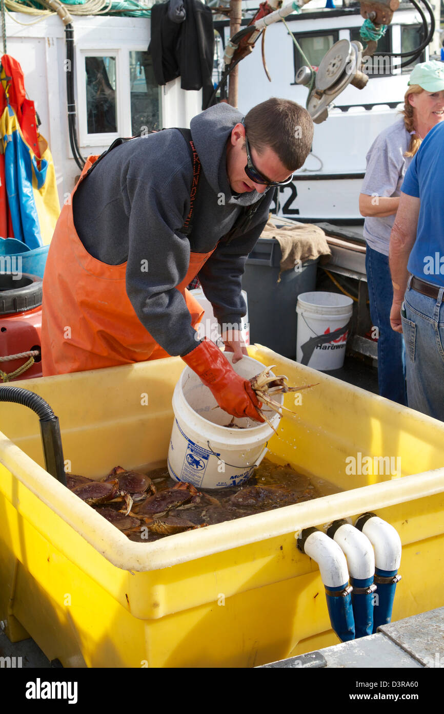 Crab fishermen selling fresh crabs from their boats on the dock at