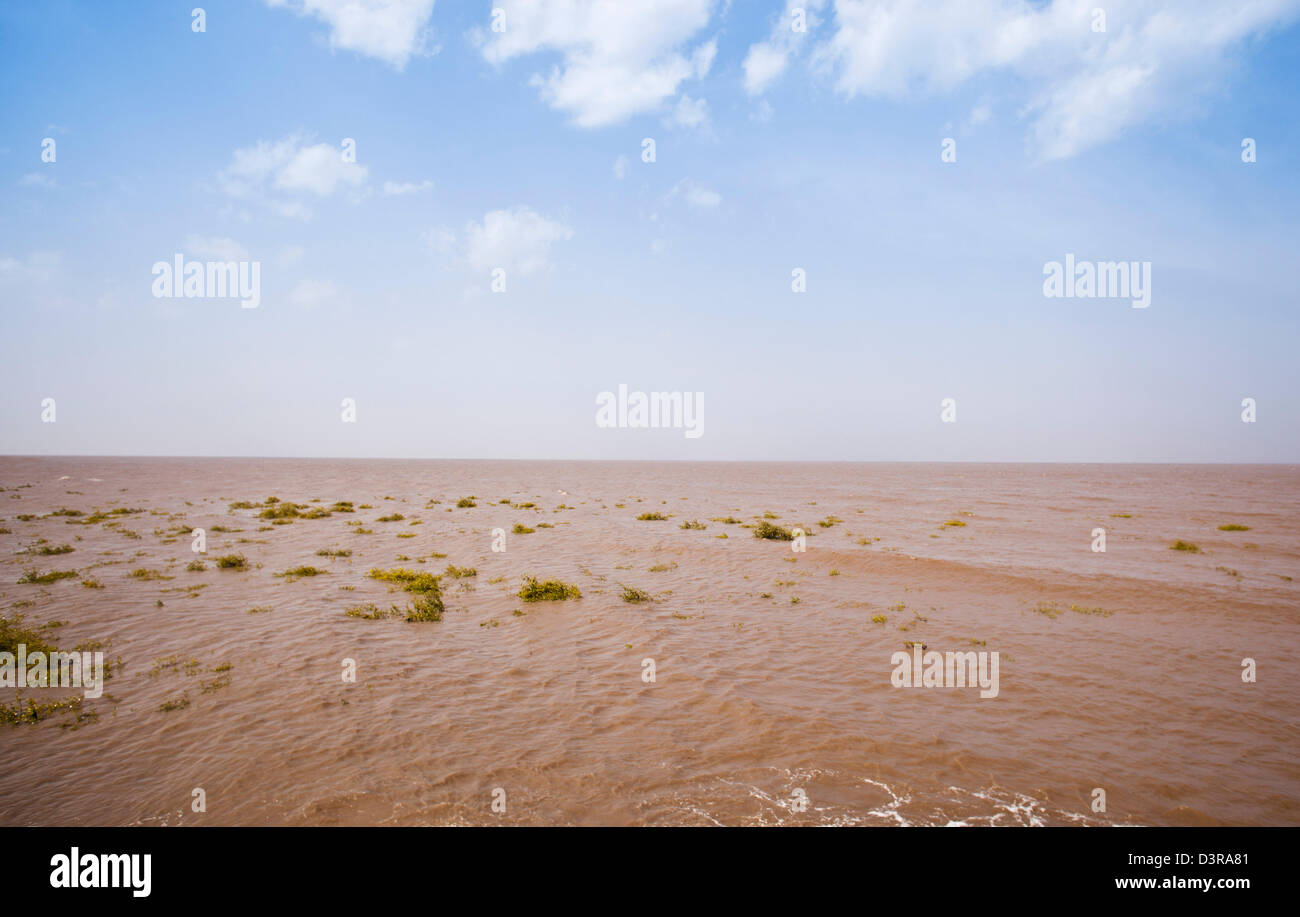 Muddy water at Ghogha Beach, Bhavnagar, Gujarat, India Stock Photo Alamy